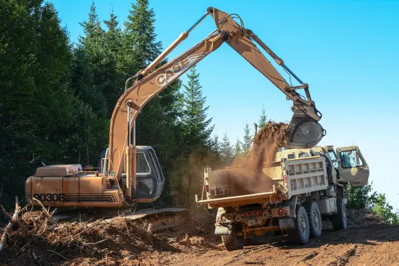 Lupin Casino Ënnerstëtzung